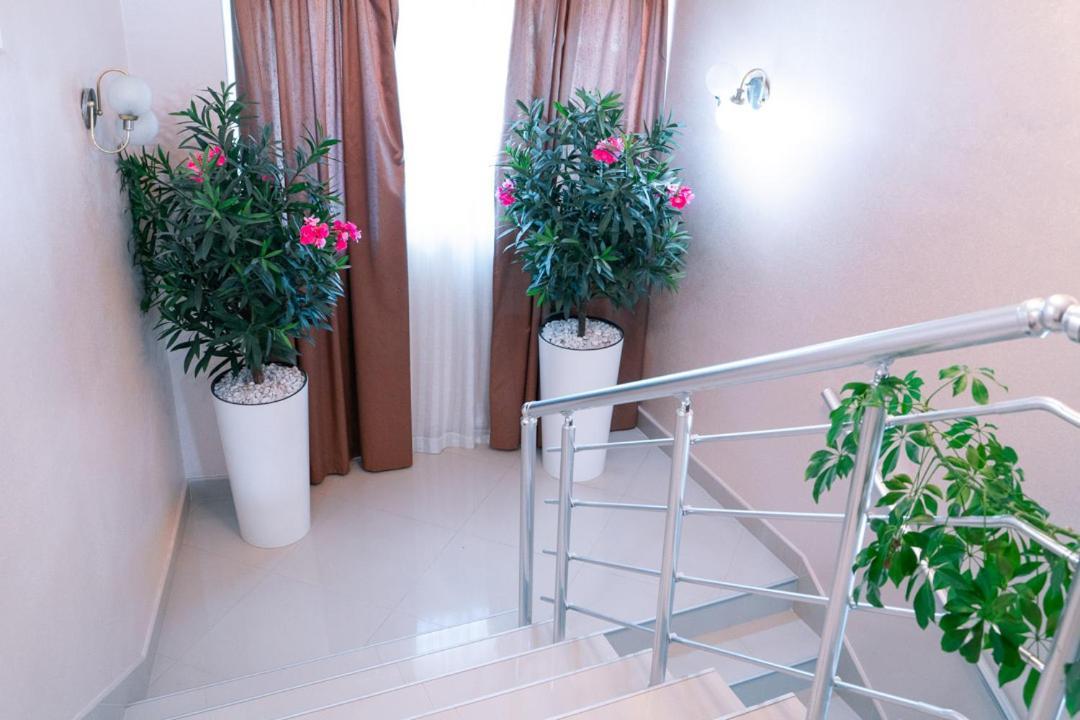 Hotel Zeleni Vir Ni 外观 照片